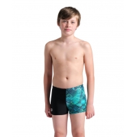 Плавки Arena ARENA DALY SWIM SHORT JR