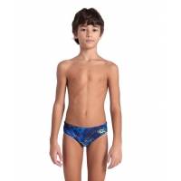 Плавки Arena ARENA DALY SWIM BRIEFS JR 809