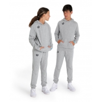 Толстовка Arena TEAM HOODED SWEAT PANEL JR
