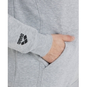 Толстовка Arena HOODED SWEAT LOGO 550