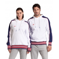 Толстовка Arena HOODED SWEAT INSERTS 107