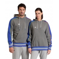 Толстовка Arena HOODED SWEAT INSERTS 528