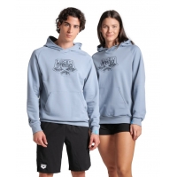 Толстовка ARENA HOODED SWEAT LOGO 555