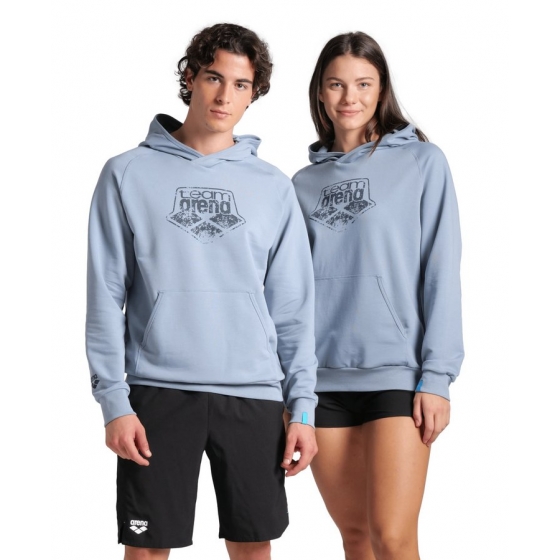 Толстовка ARENA HOODED SWEAT LOGO 555