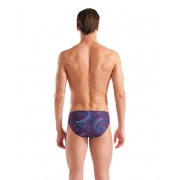 Плавки ARENA FIREFLOW SWIM BRIEFS 417